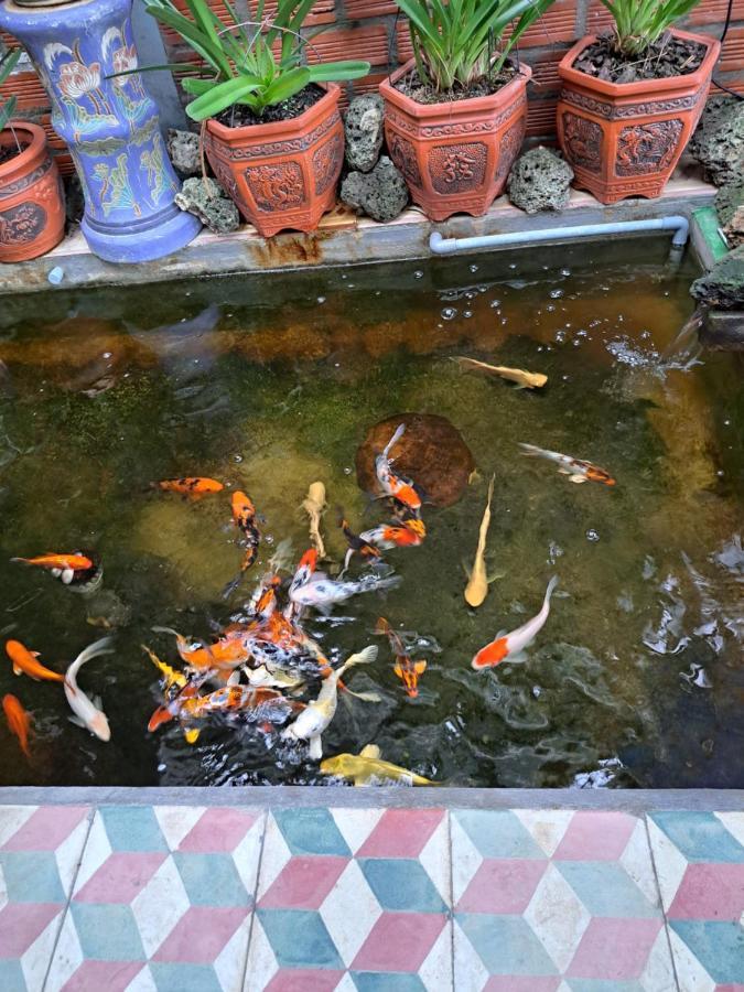 Hoa Lan Motel & Homestay Giong Tu Dien Ngoại thất bức ảnh